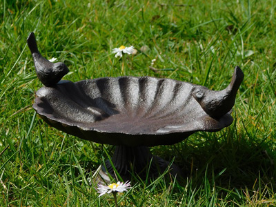 Bird Baths, Riverview, FL Bird_Baths_3