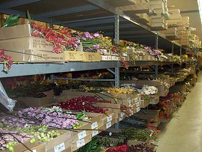 Floral Supplies, Lakeland, FL