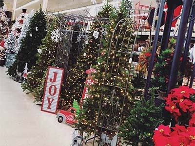 Seasonal Decor, Brandon, FL Seasonal Decor, Brandon, FL